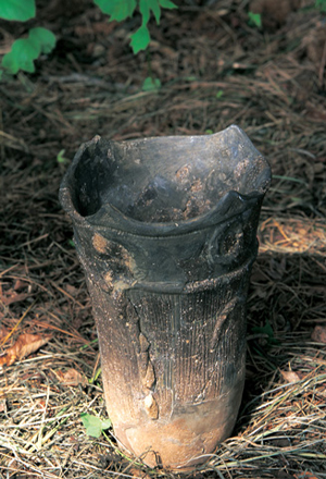 久々野町久々野／堂之上遺跡の縄文式土器 Jomon Earthenware Excavated at Donosora Ruins, Kuguno-cho Kuguno