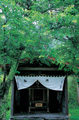 朝日町大廣／子安観音堂　Koyasu Kannondo Shrine, Asahi-cho Ohiro 