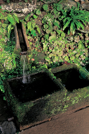 国府町三川／水屋 Water Basin, Kokufu-cho Sangawa